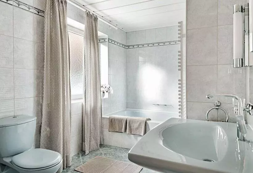 Aster Boutique Hotel & Chalets