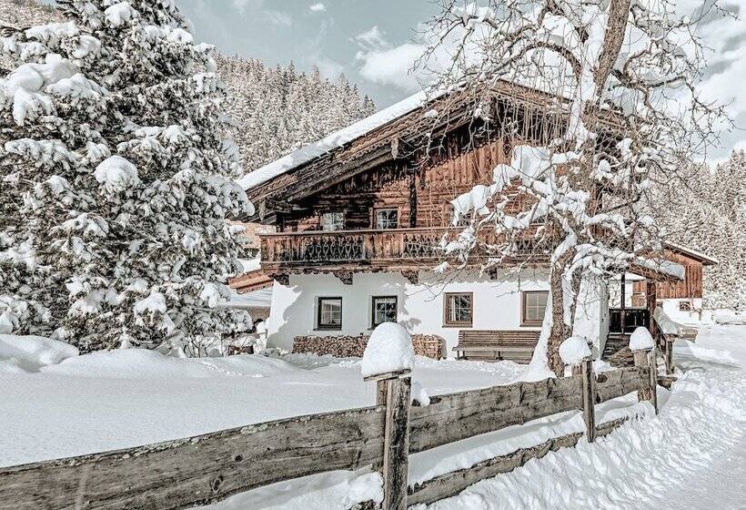 Aster Boutique Hotel & Chalets