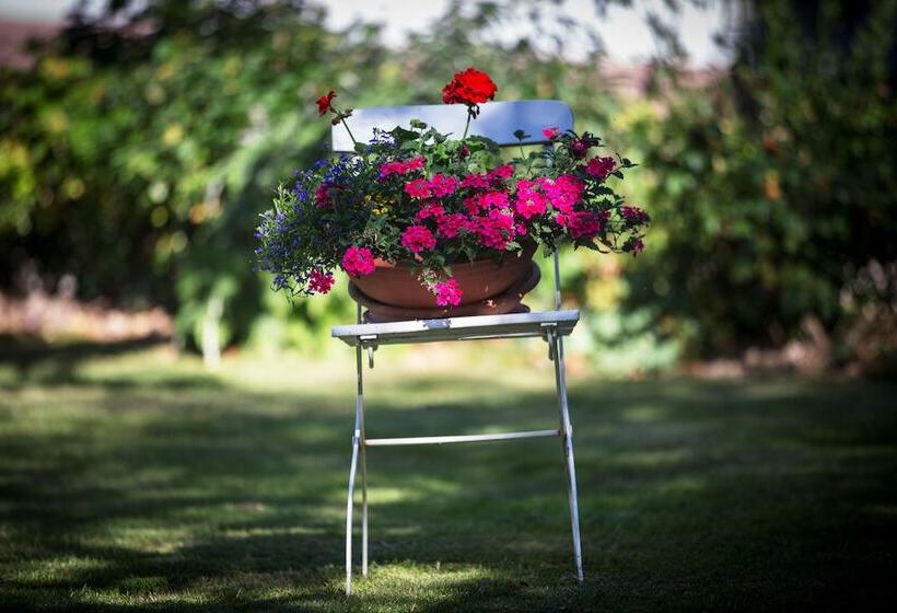 Pensionat Gasthaus Rebstock Egringen