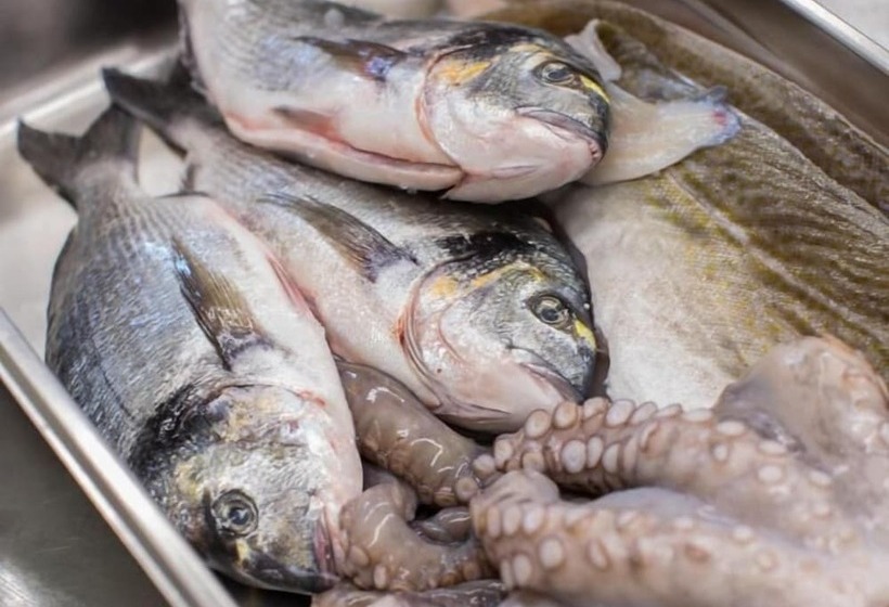 Pensionat Gasthaus Rebstock Egringen