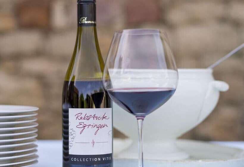 Pensionat Gasthaus Rebstock Egringen