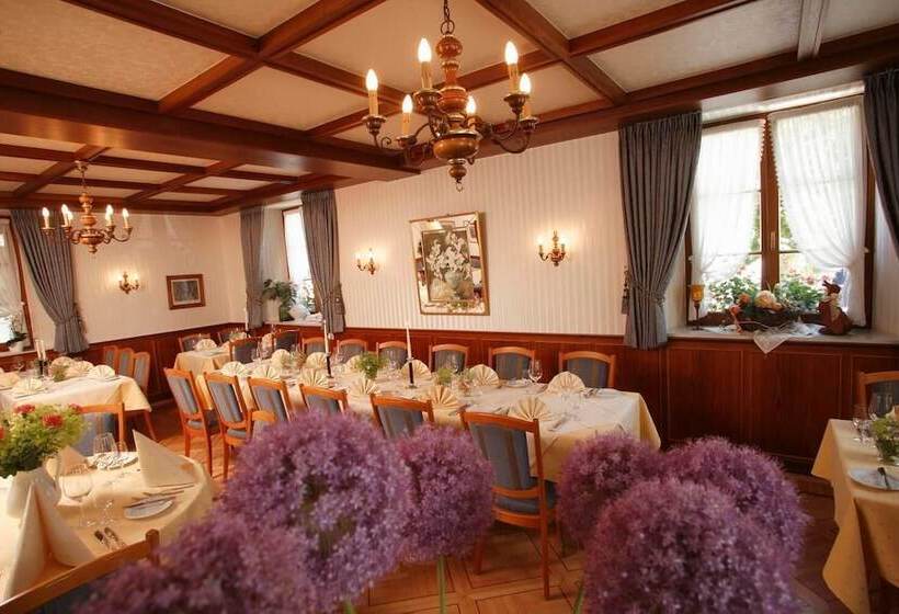 Pensionat Gasthaus Rebstock Egringen