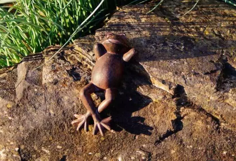 Majatalo Gästehaus Panorama