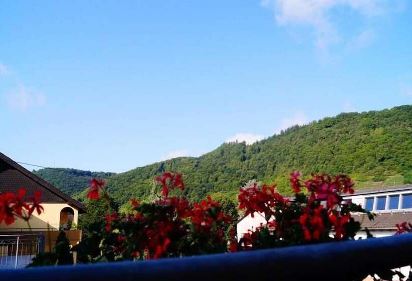 פנסיון Gästehaus Panorama