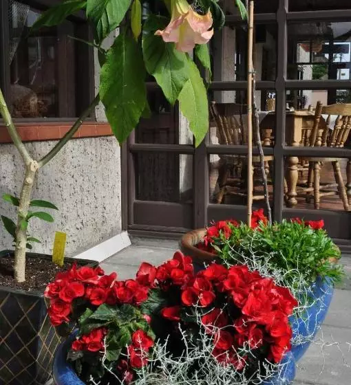 پانسیون Molo Užeiga Inn