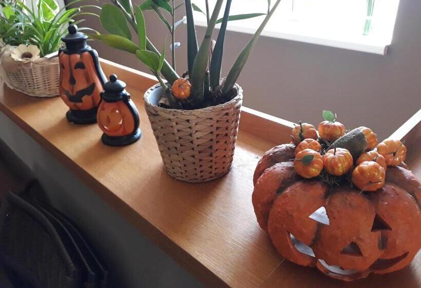 膳宿费 Penzión Fox