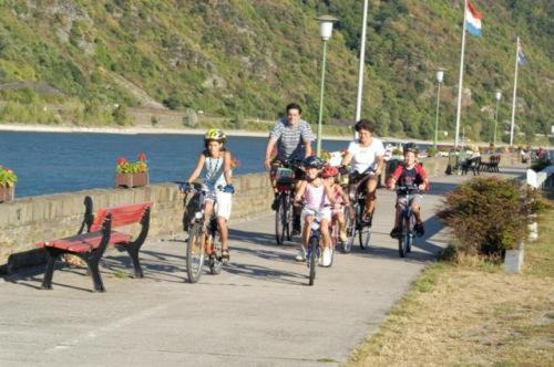 پانسیون Perle Am Rhein