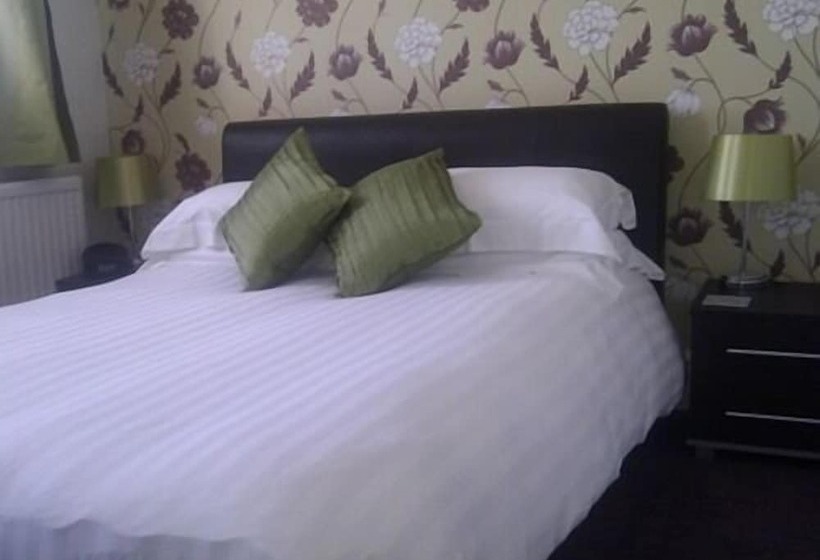 膳宿费 The Dragonfly