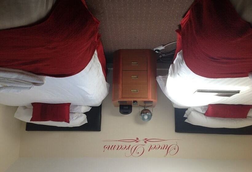 膳宿费 The Dragonfly