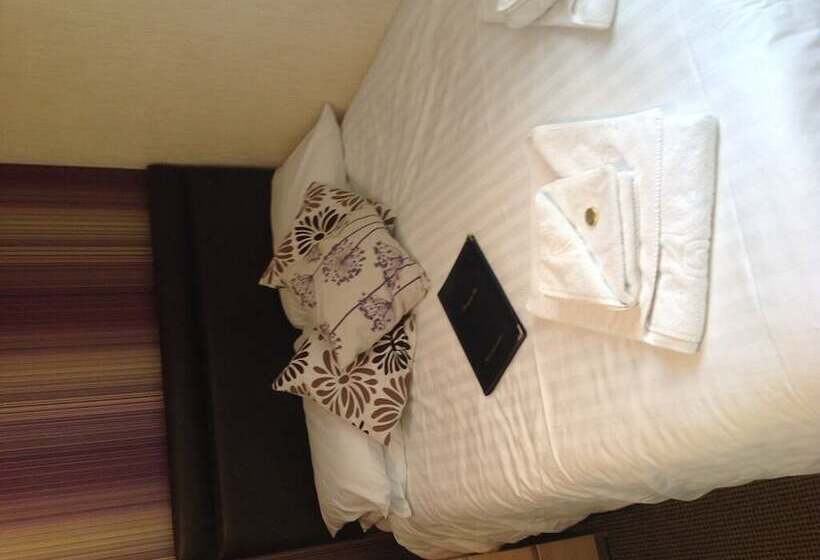 膳宿费 The Dragonfly