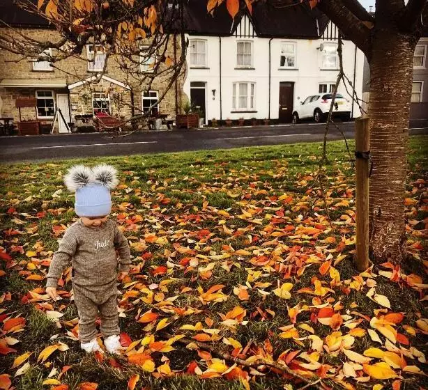 پانسیون The White Hart Inn