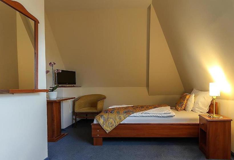 Pensjonat Aranypatkó Fogadó étterem