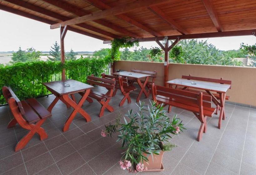 Pensjonat Aranypatkó Fogadó étterem