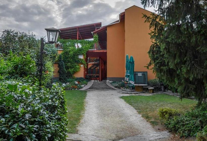 Pensjonat Aranypatkó Fogadó étterem