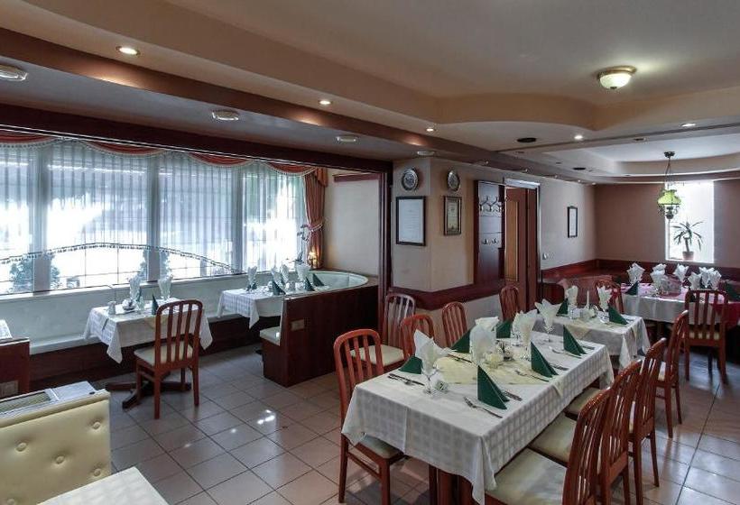 Pensjonat Aranypatkó Fogadó étterem