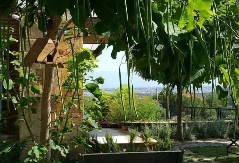 پانسیون Daidalos