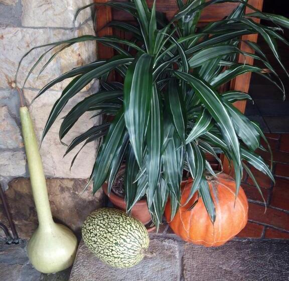 Pensão Posada La Llosa De Viveda Adults Only