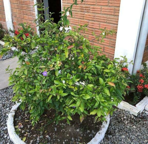 膳宿费 Pousada Vale Do Gravata