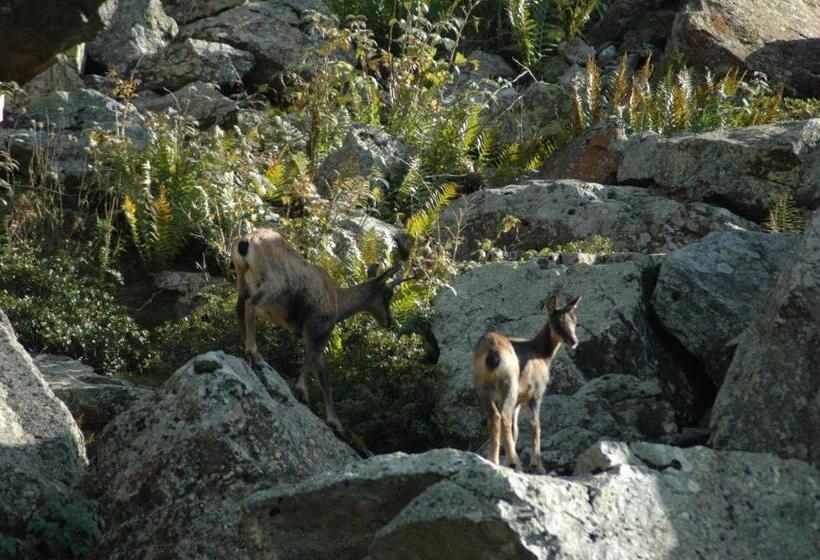 Appart Le Chili Quartier Thermal Lit Fait