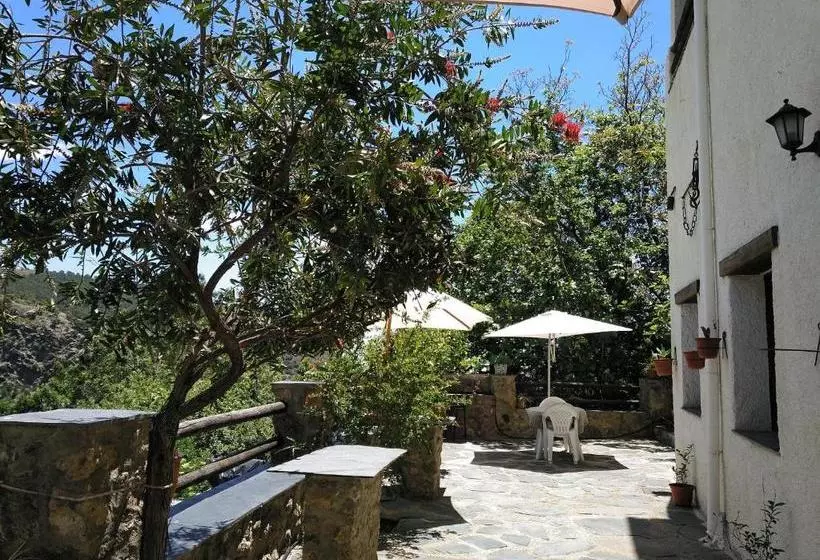 El Vergel De Berchules