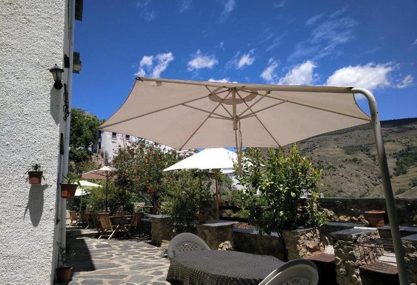 El Vergel De Berchules