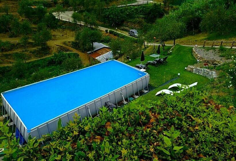 Отель Agriturismo La Quiete