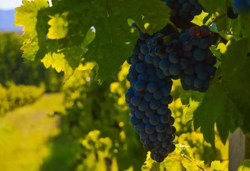 هتل Cardinal Girolamo