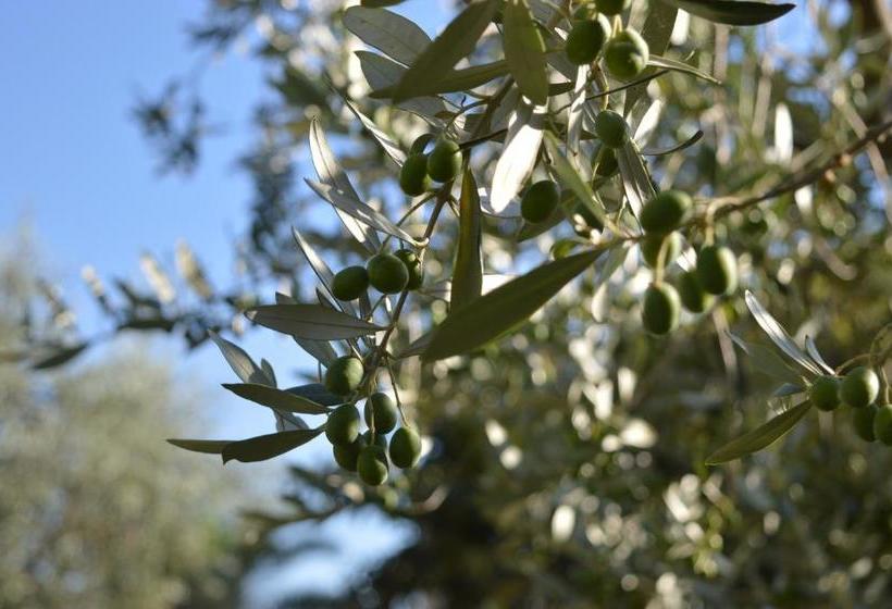 호텔 Cardinal Girolamo