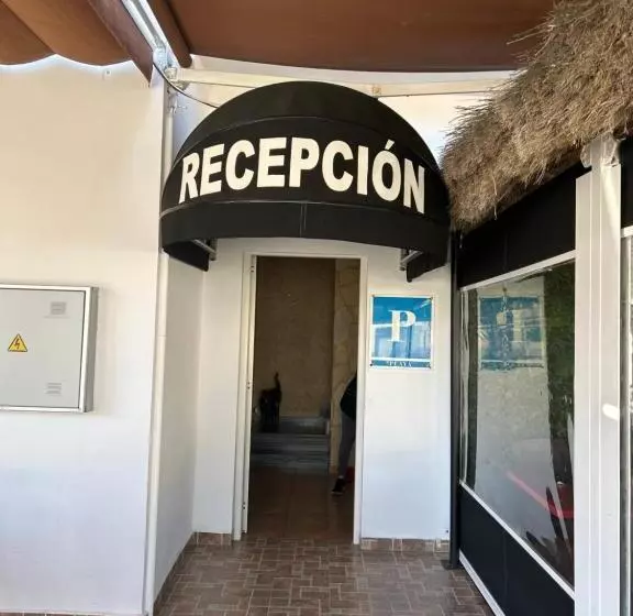 Pensión Aloha