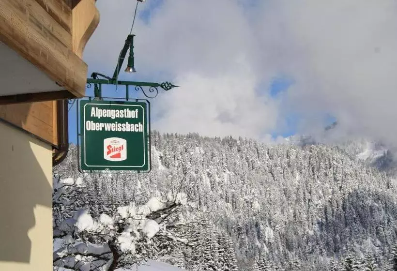 ペンション Alpengasthof Oberweissbach
