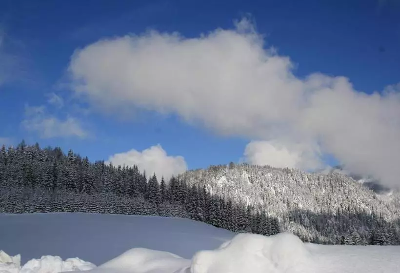 ペンション Alpengasthof Oberweissbach
