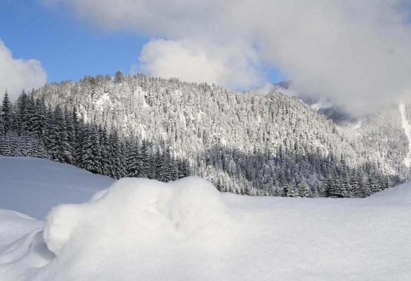 بنسيون Alpengasthof Oberweissbach