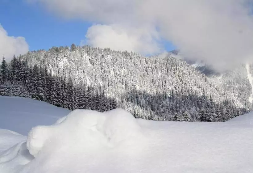 ペンション Alpengasthof Oberweissbach