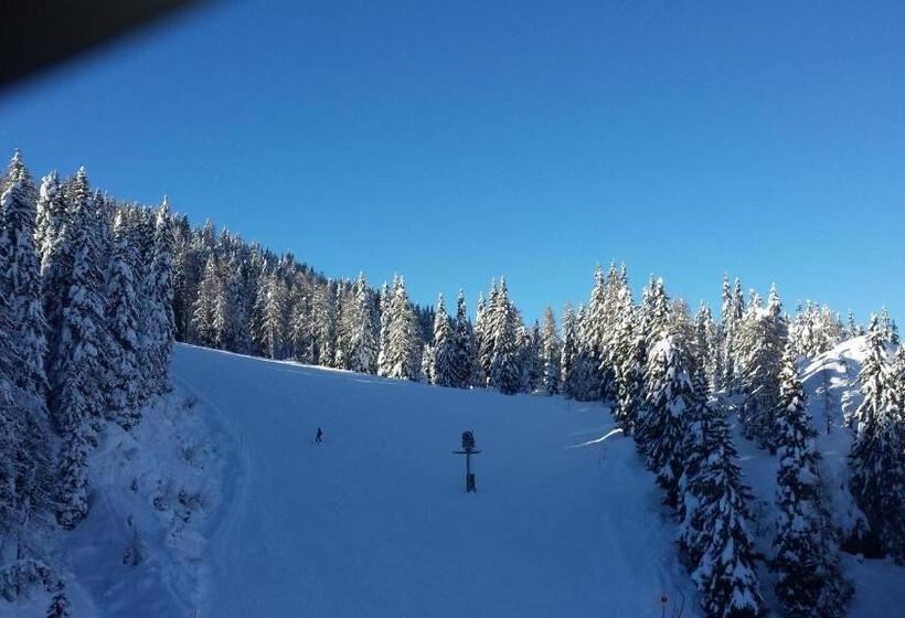 פנסיון Beim Winkler