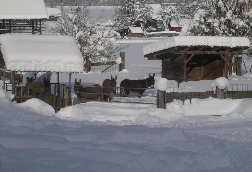 פנסיון Beim Winkler