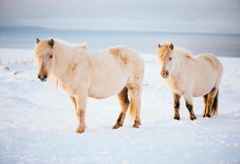 پانسیون Lyngás Guesthouse