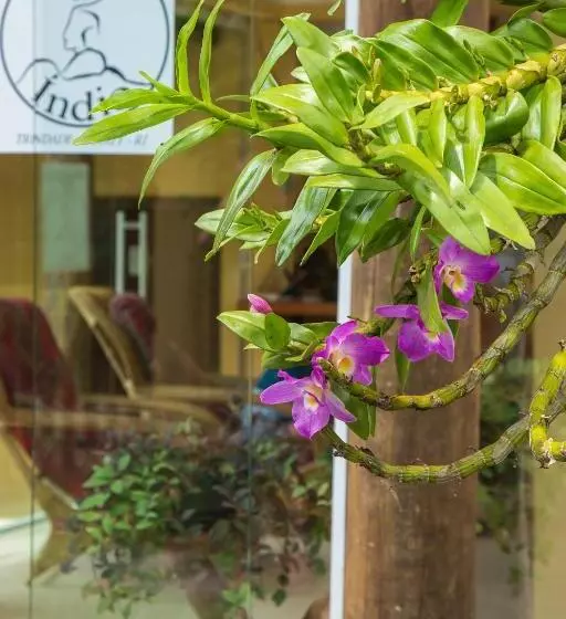 ペンション Pousada Cabeça Do Indio   Trindade