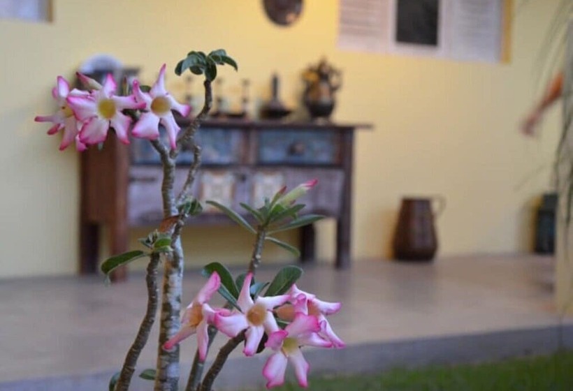 Пансион Pousada Villa Real