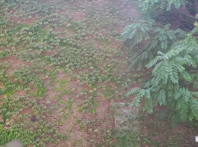 Majatalo The Windsor Inn