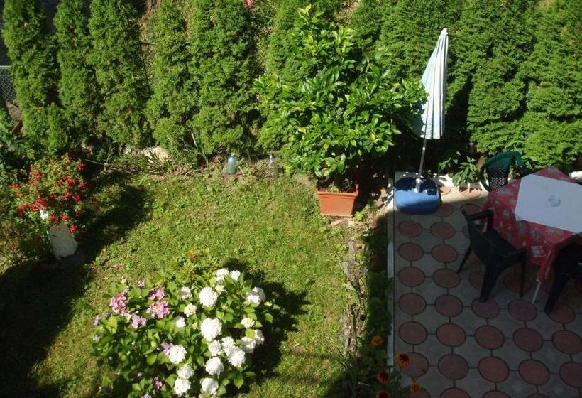 פנסיון Vila Ana Maria