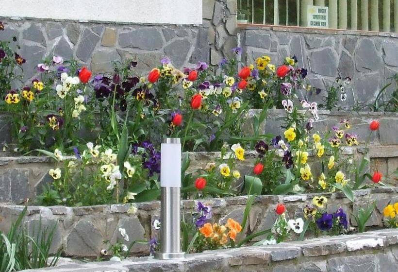 פנסיון Vila Ana Maria