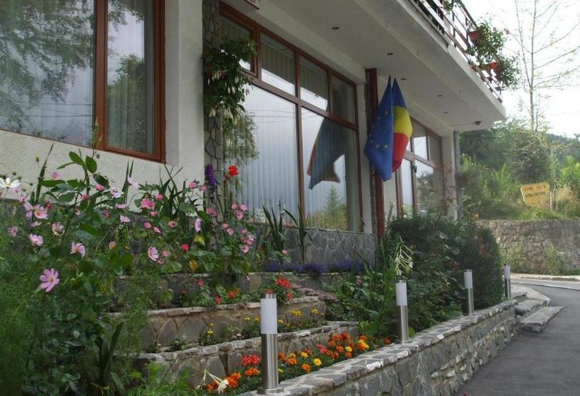 פנסיון Vila Ana Maria