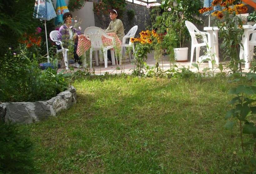 פנסיון Vila Ana Maria