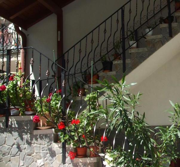 פנסיון Vila Ana Maria