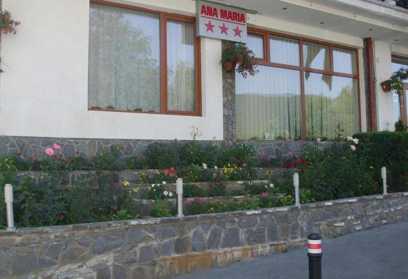 פנסיון Vila Ana Maria