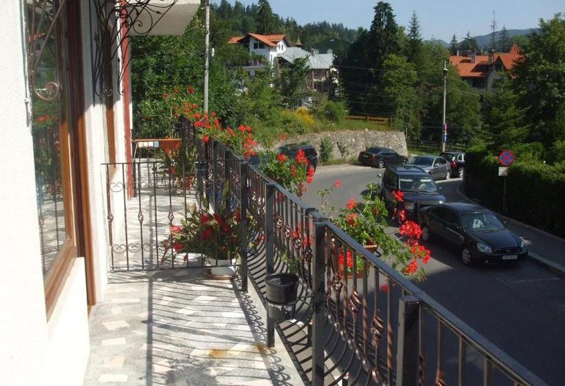 פנסיון Vila Ana Maria