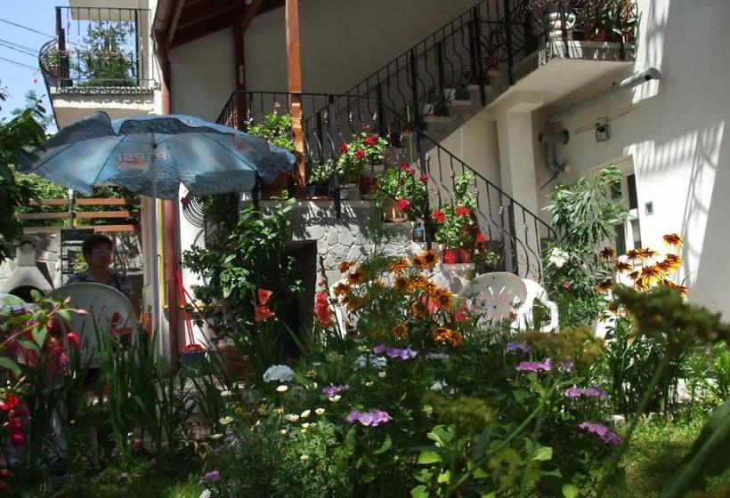 פנסיון Vila Ana Maria