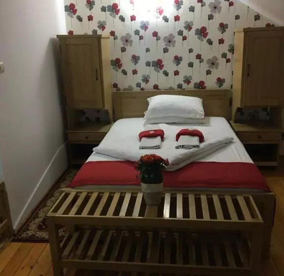 Pension La Viorel Isaila