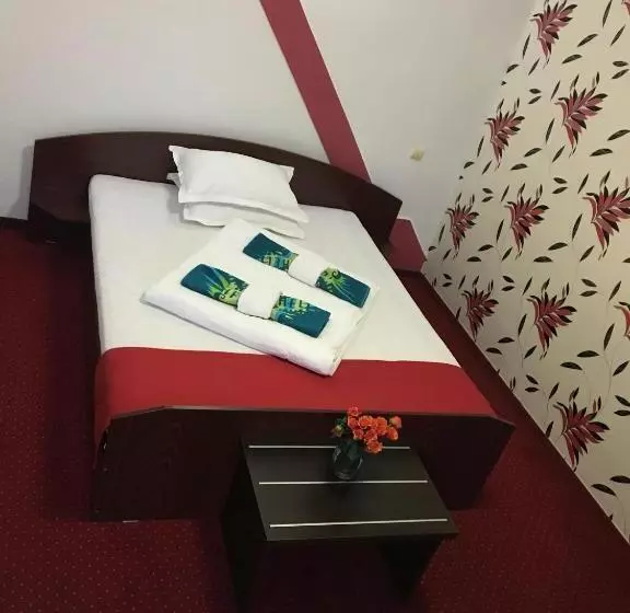 Pension La Viorel Isaila