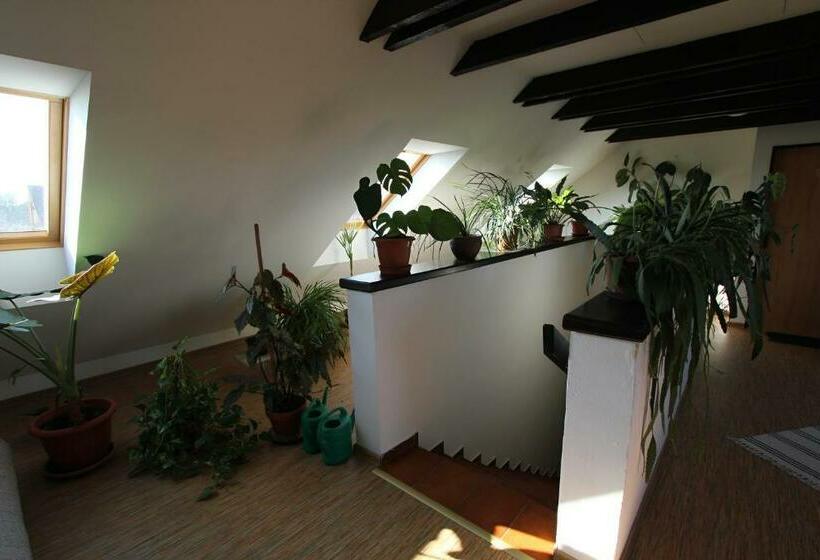 Pension U Svateho Jana